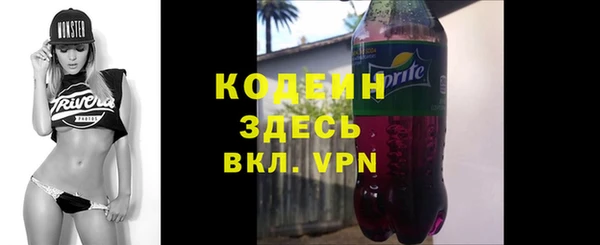 спайс Корсаков