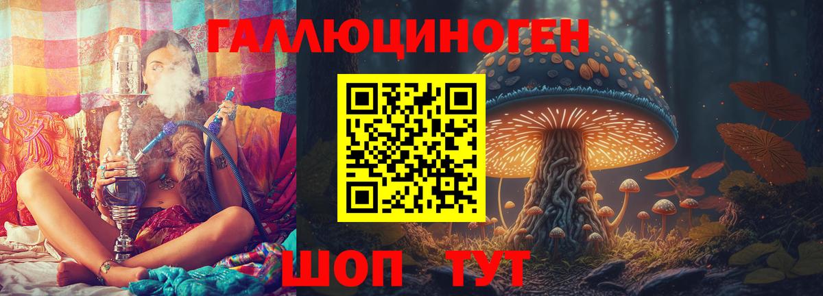 Галлюциногенные грибы прущие грибы Верхний Уфалей
